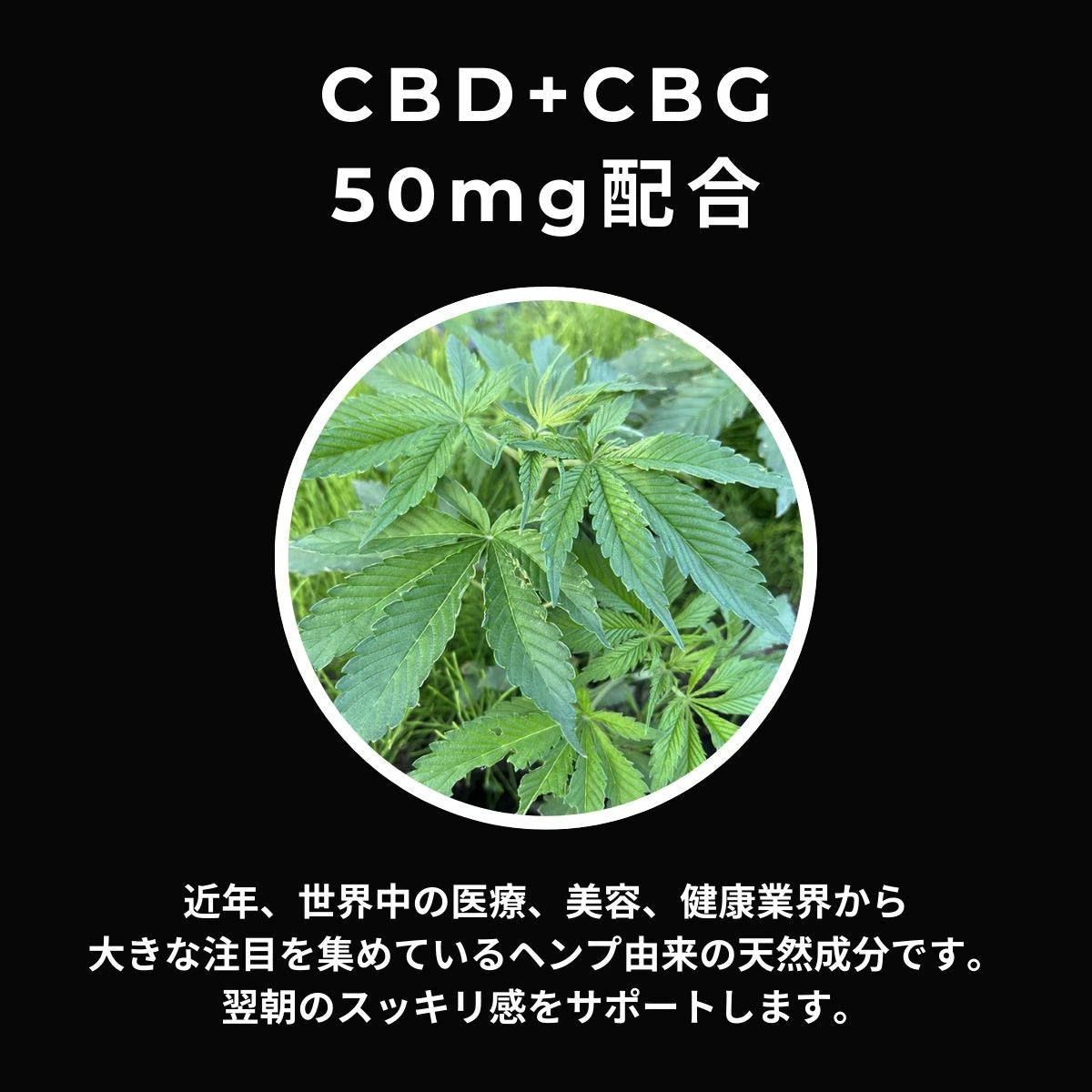 CBDUCON 1箱(10包入り)