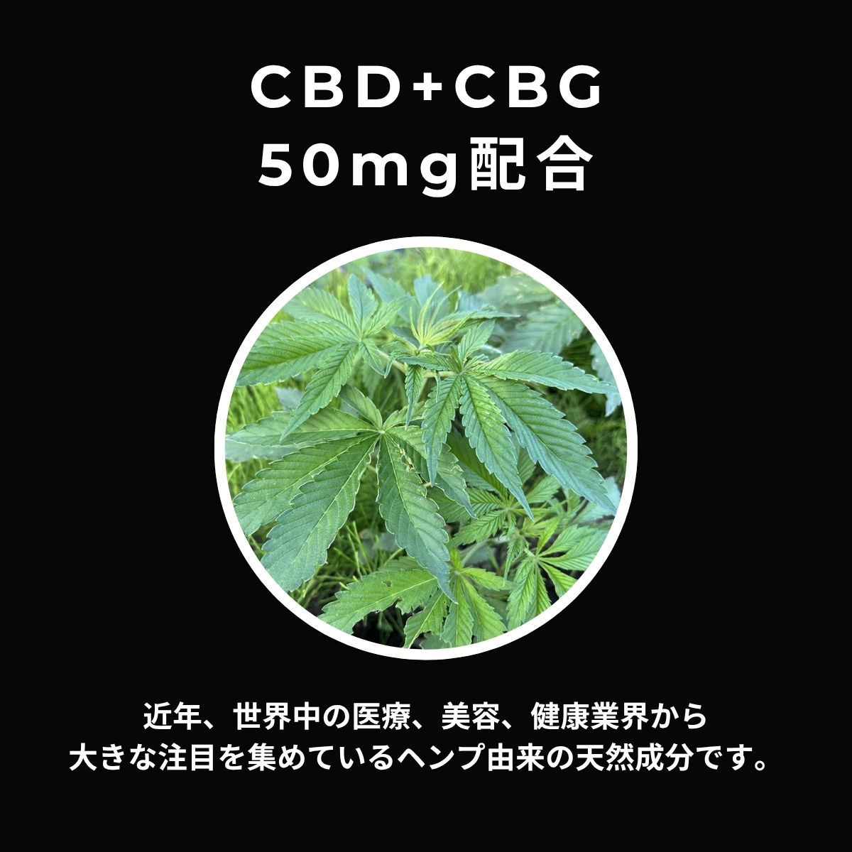 CBDUCON｜整えて、研ぎ澄ます次世代パフォーマンスサプリ 1箱（10包入り）