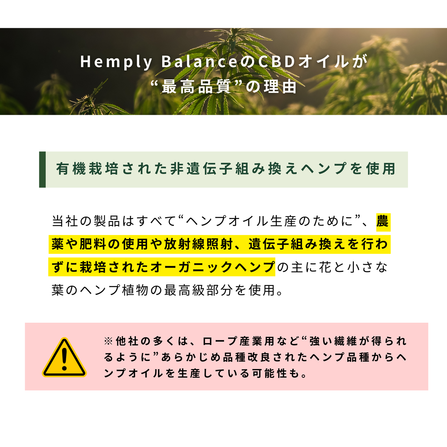 【アスリート愛用】Hemply Balance CBDスキンバーム 600mg Not your avg. cream