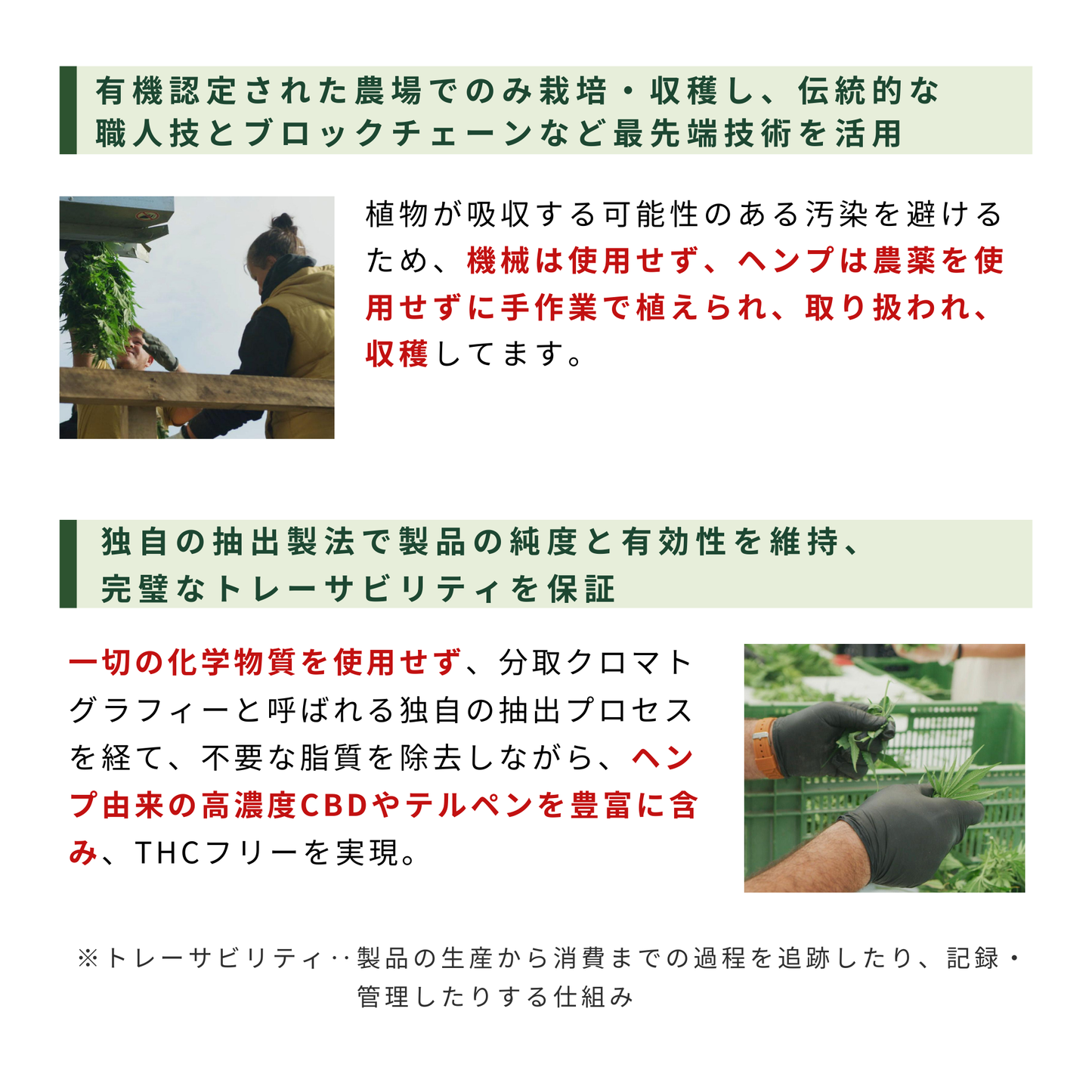 【アスリート愛用】Hemply Balance CBDスキンバーム 600mg Not your avg. cream