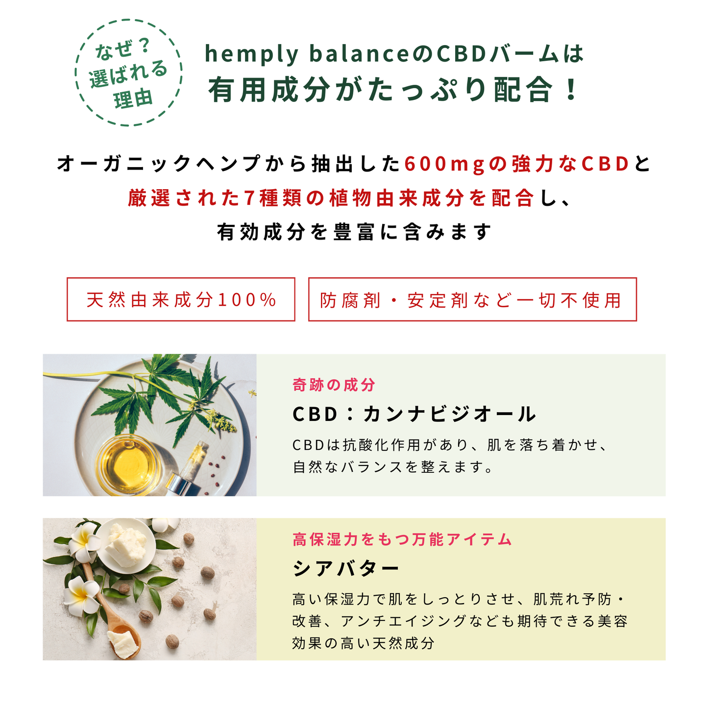 【アスリート愛用】Hemply Balance CBDスキンバーム 600mg Not your avg. cream