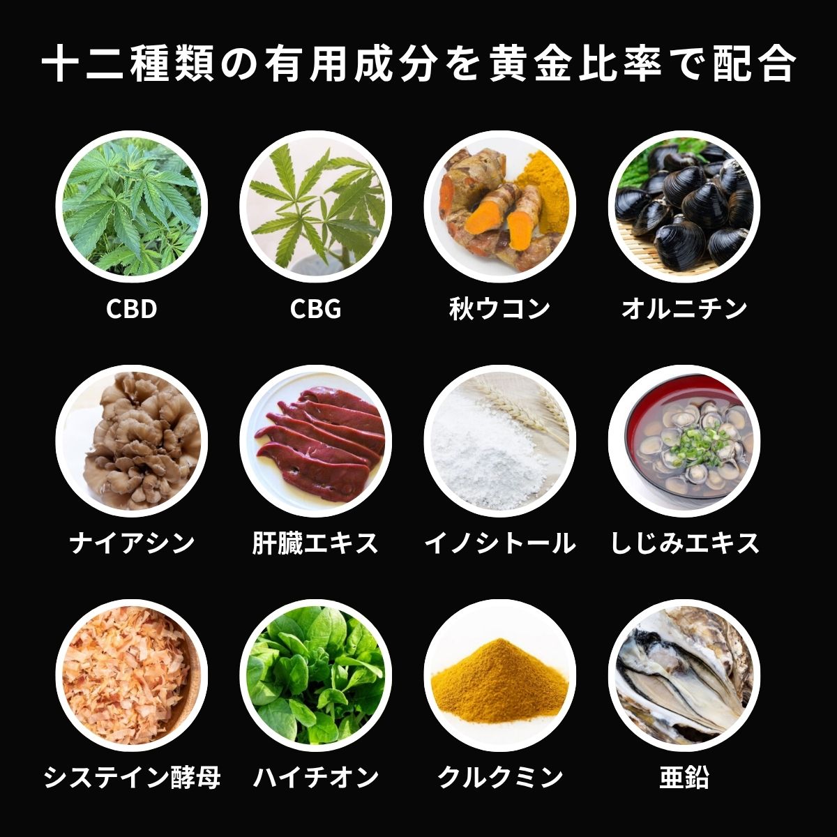 CBDUCON｜整えて、研ぎ澄ます次世代パフォーマンスサプリ 1箱（10包入り）